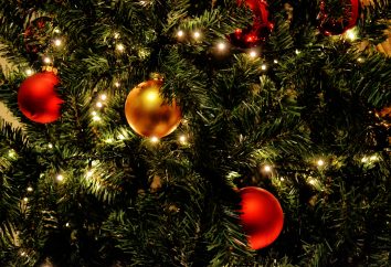US_blog_easy_christmas_tree_cleanup_thumbnail.jpg